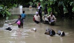 Uruguay se solidariza con India por las "graves inundaciones" en el país