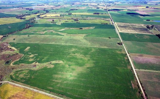 Innovación: "La agricultura de precisión es imprescindible"