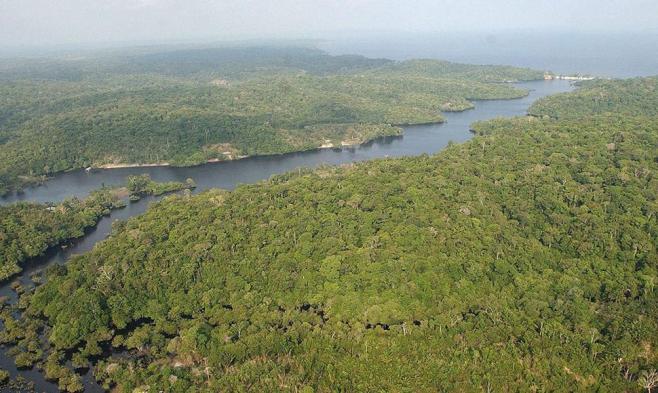 Un "cementerio" indígena con 500 años en el corazón de la Amazonia brasileña