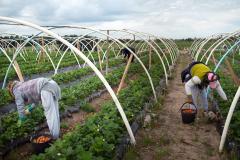 "La productividad de la mano de obra en Uruguay está cayendo porque el trabajador no cuida su trabajo"