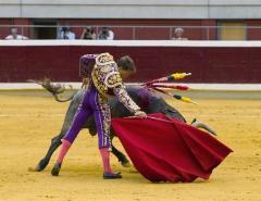 Podemos propone un referéndum sobre el futuro de la tauromaquia en España