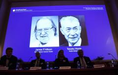 Nobel de Medicina a Allison y Honjo por terapia contra el cáncer