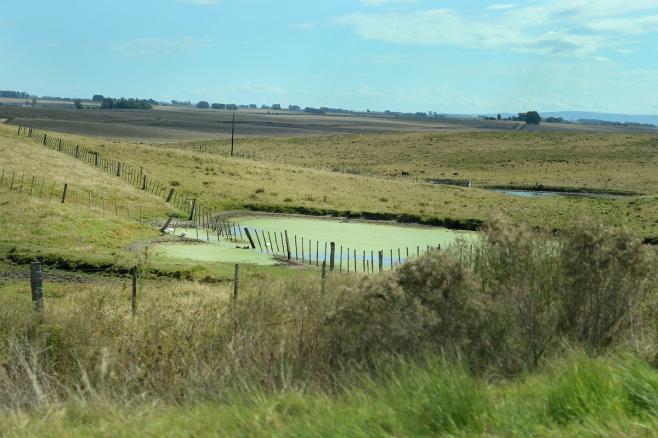 Advierten la necesidad de intensificar controles sobre la tercerización de campos