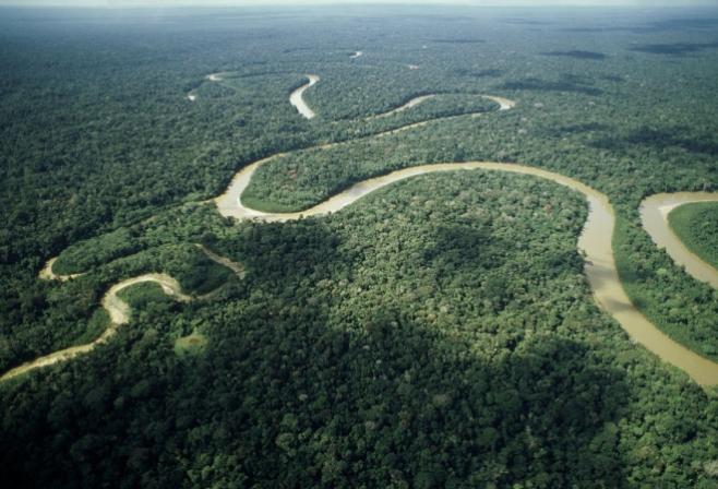 El CO2 liberado por "El Niño" en el Amazonas fue 4 veces peor de lo previsto