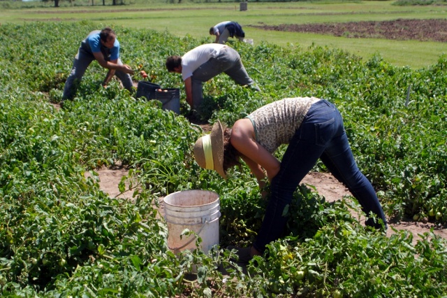 Se conmemora el Día Internacional de la Mujer Rural