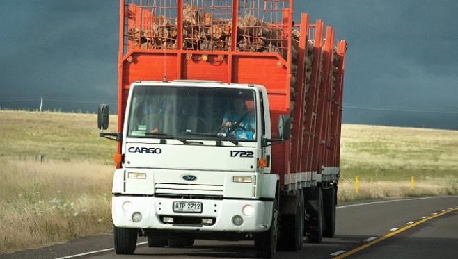 Las exportaciones del sector forestal en lo que va del año aumentaron un 16,7%, siendo la celulosa el principal producto exportable