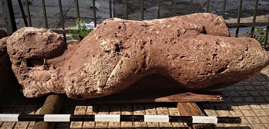 Agricultor descubre yacimiento de la Antigua Grecia mientras planta olivos