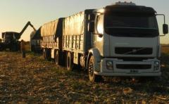 Gremiales agropecuarias y transportistas acordaron tarifas para transporte de granos