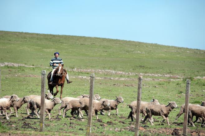 El gobierno definió un aumento para rurales