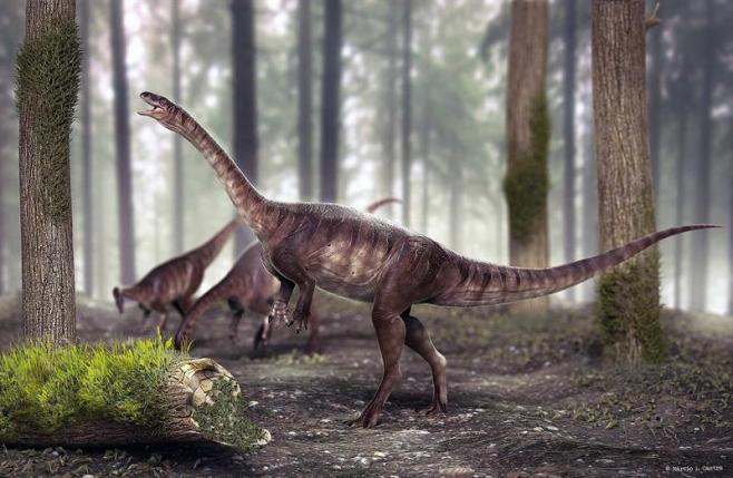 Descubren en Brasil el dinosaurio de cuello largo más antiguo del mundo