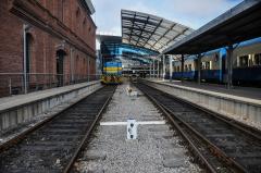 Consorcio para tren central busca comenzar obras al inicio de 2019