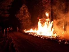 Logran controlar al 100% el incendio más mortífero en la historia de California
