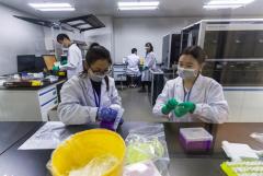 China castigará experimentos genéticos que "violan leyes y principios éticos"