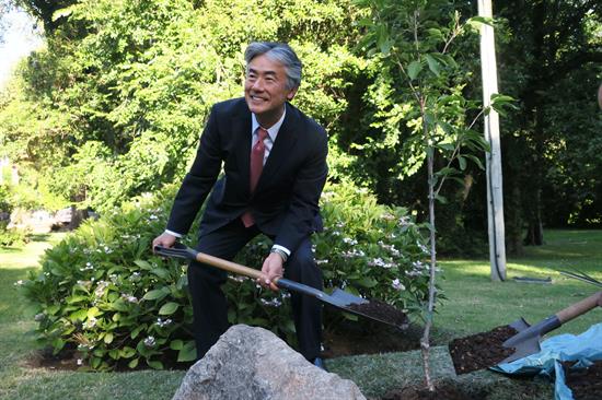 Japón celebra 110 años de inmigración a Uruguay con siembra de sakura