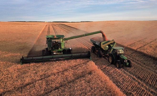 Dado la falta de combustible, el agricultor opta por la cosecha de trigo y cebada por sobre la siembra de soja