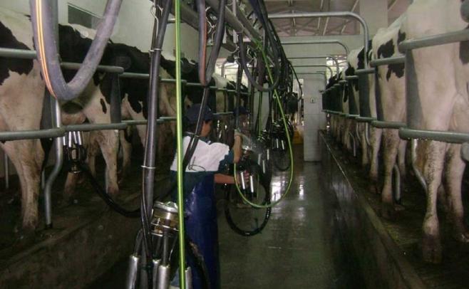 BROU: El 91% de los productores lecheros estÃ¡n al dÃ­a con sus crÃ©ditos