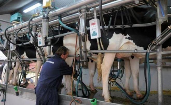Con reuniones clave este jueves y viernes, los productores lecheros esperan más medidas por parte del gobierno
