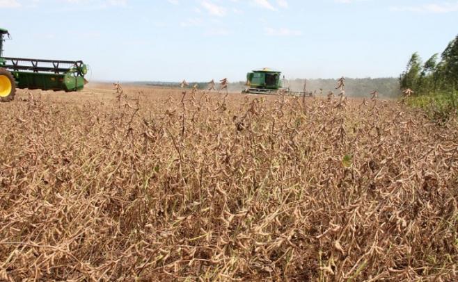 Paraguay dejará de recibir 300 millones de dólares menos por una menor producción de soja
