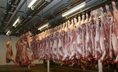 Argentina retoma su lugar de privilegio en el mercado de la carne