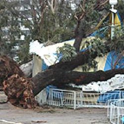 Atribuyen imprevisión del temporal a falta de recursos