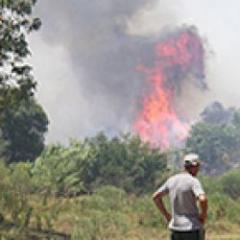 Maldonado se prepara para la "temporada de incendios"