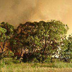 La Esmeralda a un año después del incendio