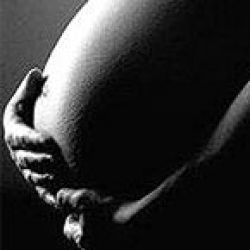 Descubren cómo determinar el sexo del bebe Descubren cómo determinar el sexo del bebe