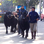 El Espectador en la Expo Prado