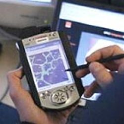 Ancel lanzó la "tercera generación" en celulares